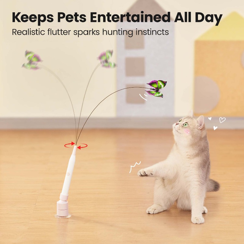 Bola Mainan Kucing Otomatis In - Pet Supplies Young ulasan dan harga