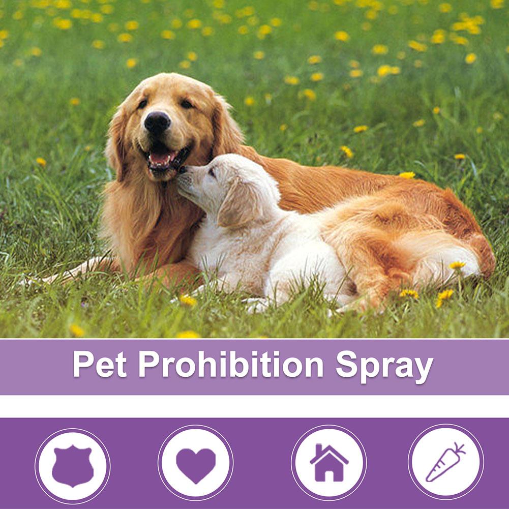 Semprotan Penenang Hewan Pelih - Pet Supplies Vending Machine ulasan dan harga