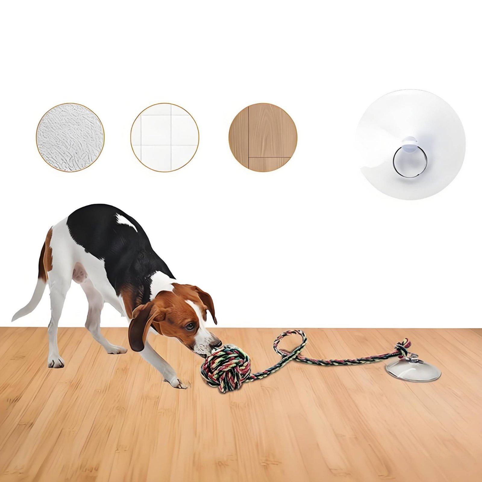 Mainan Anjing Suction Disc Int - Pet Supplies Young ulasan dan harga