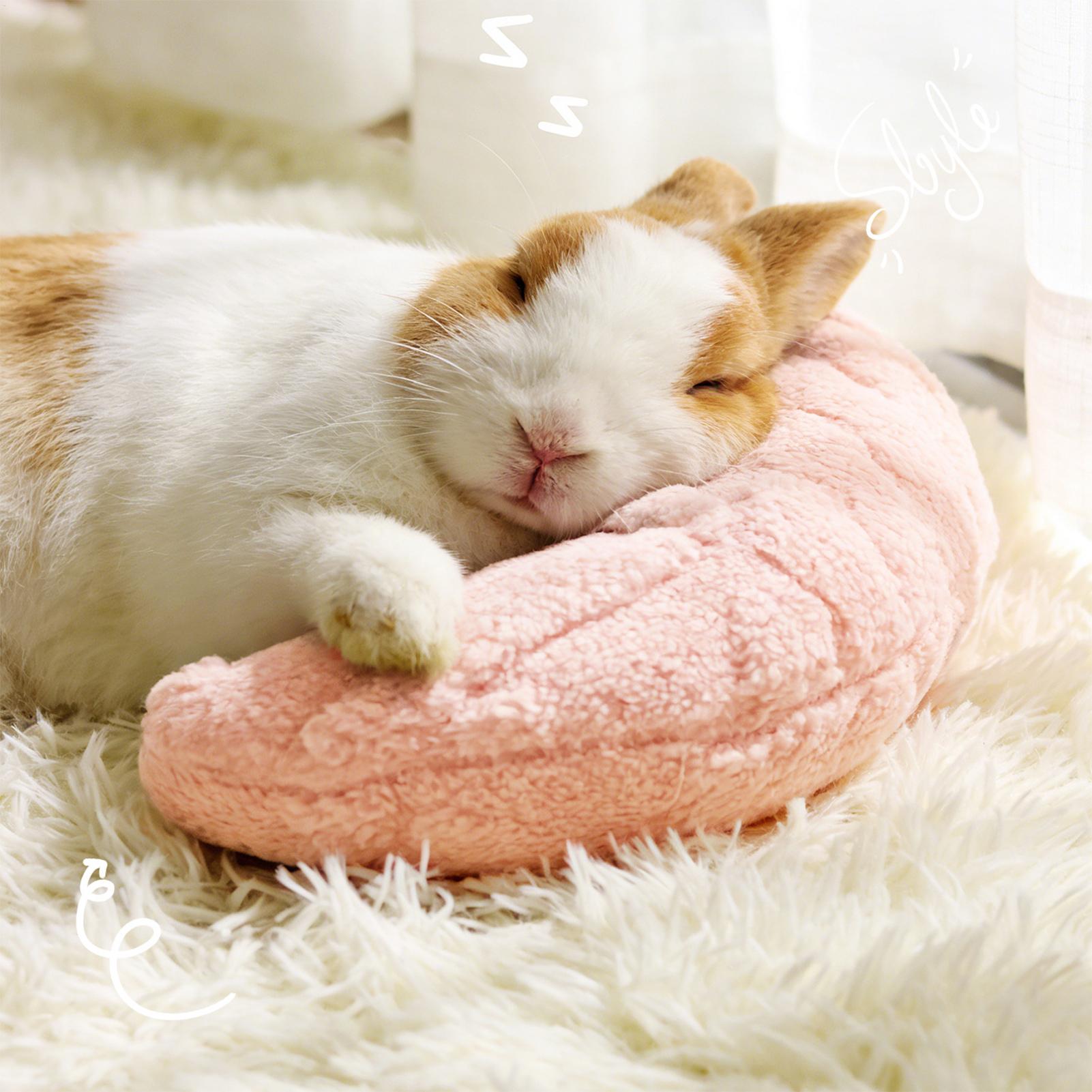 Bantal Leher Pelindung Tidur N - Pet Supplies Vending Machine ulasan dan harga